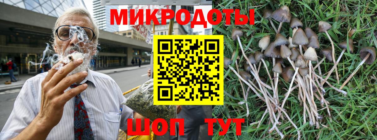 Галлюциногенные грибы Psilocybine cubensis Первоуральск