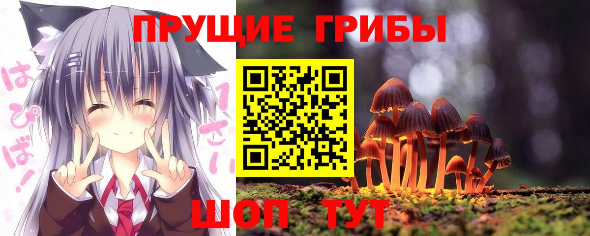 закладки  Псилоцибиновые грибы Magic Shrooms  Псилоцибиновые грибы ЛСД  Вход с VPN  Первоуральск 